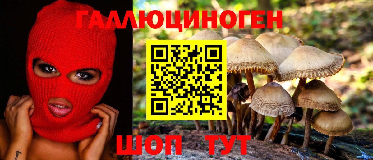 Галлюциногенные грибы прущие грибы  Вход с VPN  Слободской  Псилоцибиновые грибы MAGIC MUSHROOMS 
